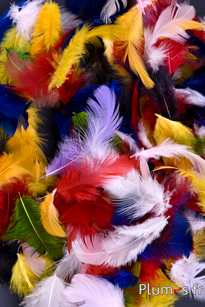 Poule - 5-9 cm - multicolore